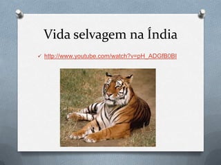 Vida selvagem na Índia
 http://www.youtube.com/watch?v=pH_ADGfB0BI
 