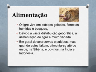 Alimentação
  O tigre vive em estepes geladas, florestas
   húmidas e bosques.
  Devido à vasta distribuição geográfica, a
   alimentação do tigre é muito variada.
  Em geral devora cervos e suídeos, mas
   quando estes faltam, alimenta-se até de
   ursos, na Sibéria, e bovinos, na Índia e
   Indonésia.
 