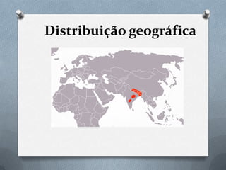 Distribuição geográfica
 
