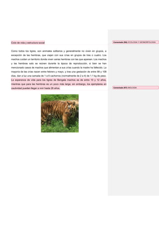 Ciclo de vida y estructura social                                                         Comentado [R6]: ECOLOGIA Y GEOMORFOLOGIA




Como todos los tigres, son animales solitarios y generalmente no viven en grupos, a
excepción de las hembras, que viajan con sus crías en grupos de tres o cuatro. Los
machos cuidan un territorio donde viven varias hembras con las que aparean. Los machos
y las hembras solo se reúnen durante la época de reproducción, si bien se han
mencionado casos de machos que alimentan a sus crías cuando la madre ha fallecido. La
mayoría de las crías nacen entre febrero y mayo, y tras una gestación de entre 98 y 108
días, dan a luz una camada de 1 a 6 cachorros (normalmente de 2 a 4) de 1.1 kg de peso.
La esperanza de vida para los tigres de Bengala machos es de entre 10 y 12 años,
mientras que para las hembras es un poco más larga; sin embargo, los ejemplares en
cautividad pueden llegar a vivir hasta 26 años.                                           Comentado [R7]: BIOLOGIA
 