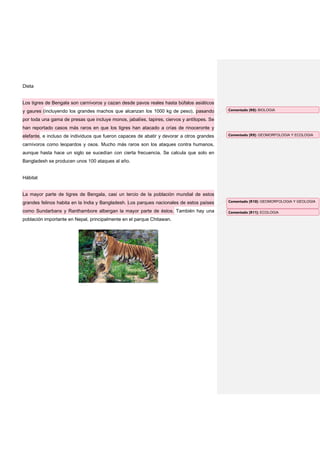 Dieta


Los tigres de Bengala son carnívoros y cazan desde pavos reales hasta búfalos asiáticos
y gaures (incluyendo los grandes machos que alcanzan los 1000 kg de peso), pasando          Comentado [R8]: BIOLOGIA

por toda una gama de presas que incluye monos, jabalíes, tapires, ciervos y antílopes. Se
han reportado casos más raros en que los tigres han atacado a crías de rinoceronte y
elefante, e incluso de individuos que fueron capaces de abatir y devorar a otros grandes    Comentado [R9]: GEOMORFOLOGIA Y ECOLOGIA

carnívoros como leopardos y osos. Mucho más raros son los ataques contra humanos,
aunque hasta hace un siglo se sucedían con cierta frecuencia. Se calcula que solo en
Bangladesh se producen unos 100 ataques al año.


Hábitat


La mayor parte de tigres de Bengala, casi un tercio de la población mundial de estos
grandes felinos habita en la India y Bangladesh. Los parques nacionales de estos países     Comentado [R10]: GEOMORFOLOGIA Y GEOLOGIA

como Sundarbans y Ranthambore albergan la mayor parte de éstos. También hay una             Comentado [R11]: ECOLOGIA

población importante en Nepal, principalmente en el parque Chitawan.
 