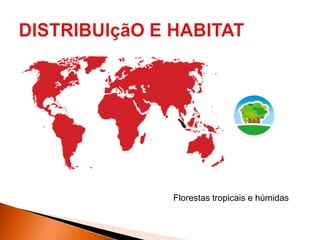 Florestas tropicais e húmidas
 