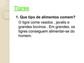 Tigres1. Que tipo de alimentos comem?	O tigre come veados , javalis e grandes bovinos . Em grandes, os tigres conseguem alimentar-se do homem.