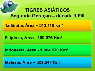 TIGRES ASIÁTICOS
  Segunda Geração – década 1990

Tailândia, Área – 513.116 km²

Filipinas, Área - 300.076 Km²

Indonésia, Área - 1.904.570 Km²

Malásia, Área – 329.847 Km²
 