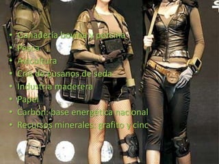 •   Ganadería bovina y porcina
•   Pesca
•   Avicultura
•   Cría de gusanos de seda
•   Industria maderera
•   Papel
•   Carbón: base energética nacional
•   Recursos minerales: grafito y cinc
 