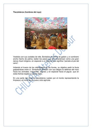 Tlacololeros (hombres del rayo)
Vestidos con sus costales de ixtle, Bordados en forma de gabán y un sombrero
ancho hecho de palma, bailan los pasos que los caracterizan como una gran
danza ritual indígena, en especial a un tlacocol que significa “parcela al pie del
cerro”.
Imitando el trueno de los relámpagos de las lluvias, su objetivo pedir la lluvia
golpeándose entre sí. Simbolizan también con sus látigos la defensa del maíz
hacia los animales; mapaches, tejones y en especial hacia el jaguar, que en
estas fechas bajaba a causar daño.
En una parte del ritual los tlacololeros ruedan por el monte representando la
limpieza y el inicio de un nuevo ciclo agrícola.
 