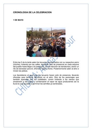 CRONOLOGIA DE LA CELEBRACION
1 DE MAYO
Entre las 5 de la tarde salen los tecuanis acompañados con su respectivo perro
(chichie), trotando por las calles, haciendo acto de presencia en cada esquina
del pueblo hasta llegar a la parroquia, con la intención de bendecirse y tener un
rito de bienestar para él, ofrendan velas y flores. Posteriormente salen al atrio e
inician las peleas.
Los tlacololeros al igual que los tecuanis hacen acto de presencia, llevando
ofrendas para terminar danzando en el atrio. Otro de los personajes que
también aparecen son los cotlatlastin, corren imitando a los vientos que
arrastrarán a las nubes y condensarán el vapor de agua produciendo así la
lluvia la cual ayudará a germinar las semillas ya sembradas.
 