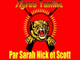 Tigres Tamile Par Sarah Nick et Scott 