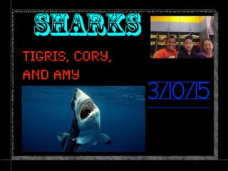 Tigris, Cory,
and Amy
SHARKS
3/10/15
 