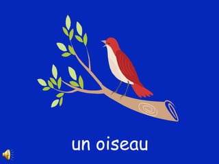 un oiseau 