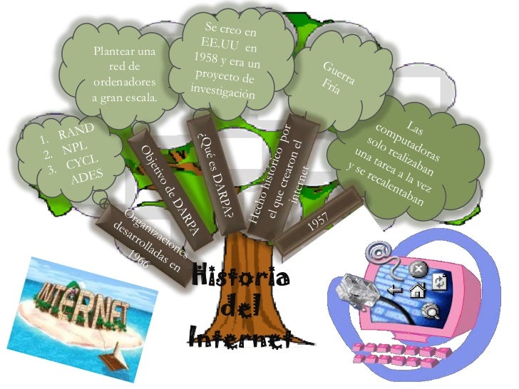 Tigse , tito organizador gràfico arbol