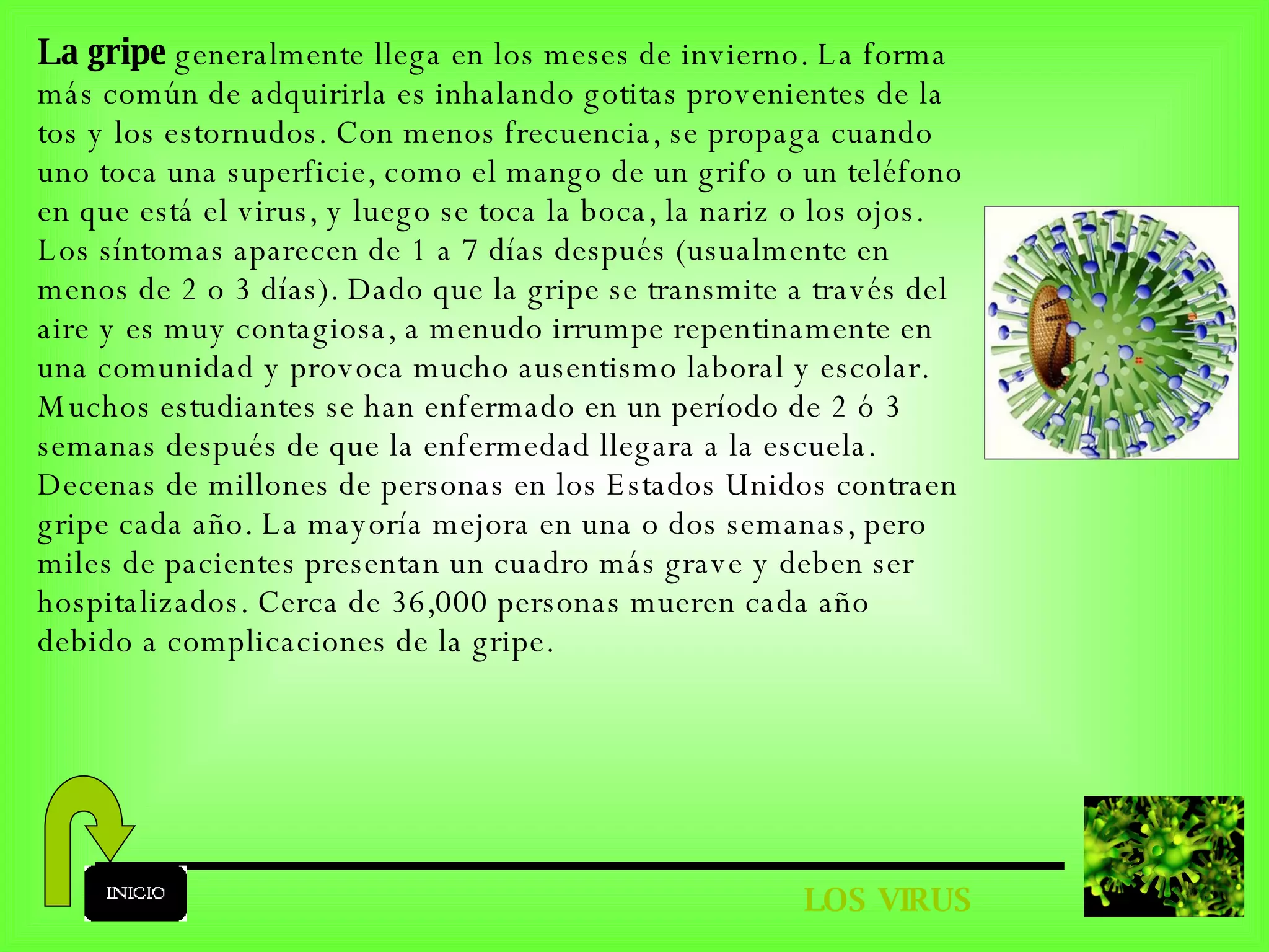 LOS VIRUS La gripe  generalmente llega en los meses de invierno. La forma más común de adquirirla es inhalando gotitas provenientes de la tos y los estornudos. Con menos frecuencia, se propaga cuando uno toca una superficie, como el mango de un grifo o un teléfono en que está el virus, y luego se toca la boca, la nariz o los ojos. Los síntomas aparecen de 1 a 7 días después (usualmente en menos de 2 o 3 días). Dado que la gripe se transmite a través del aire y es muy contagiosa, a menudo irrumpe repentinamente en una comunidad y provoca mucho ausentismo laboral y escolar. Muchos estudiantes se han enfermado en un período de 2 ó 3 semanas después de que la enfermedad llegara a la escuela. Decenas de millones de personas en los Estados Unidos contraen gripe cada año. La mayoría mejora en una o dos semanas, pero miles de pacientes presentan un cuadro más grave y deben ser hospitalizados. Cerca de 36,000 personas mueren cada año debido a complicaciones de la gripe. 