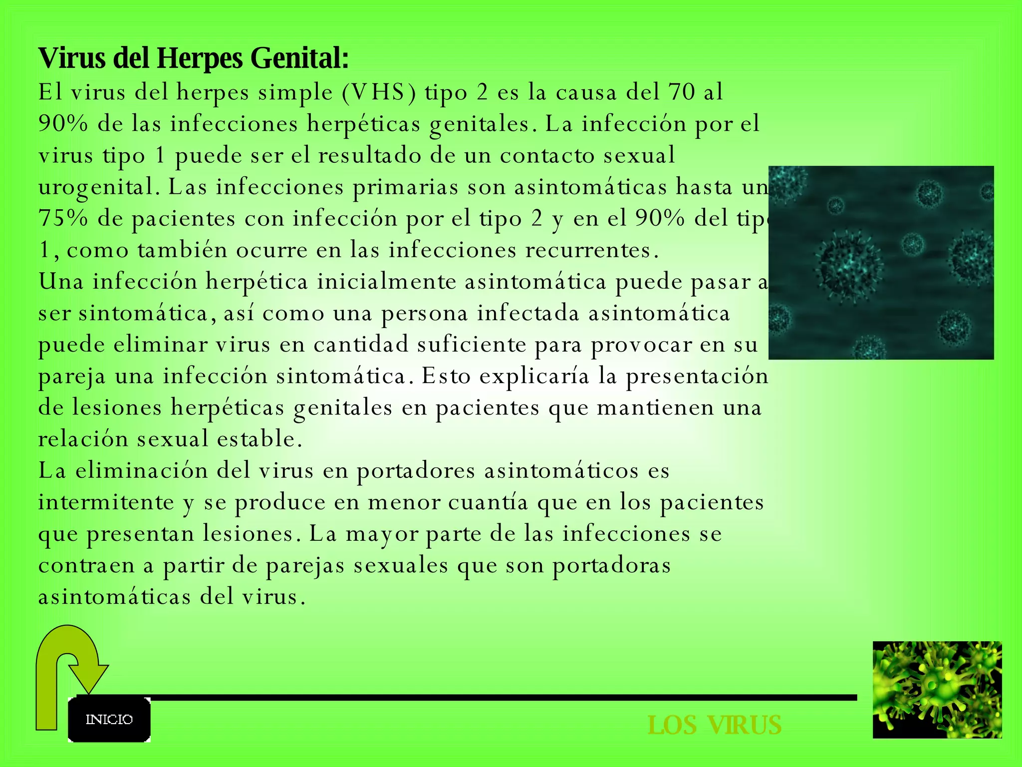 LOS VIRUS Virus del Herpes Genital:   El virus del herpes simple (VHS) tipo 2 es la causa del 70 al 90% de las infecciones herpéticas genitales. La infección por el virus tipo 1 puede ser el resultado de un contacto sexual urogenital. Las infecciones primarias son asintomáticas hasta un 75% de pacientes con infección por el tipo 2 y en el 90% del tipo 1, como también ocurre en las infecciones recurrentes. Una infección herpética inicialmente asintomática puede pasar a ser sintomática, así como una persona infectada asintomática puede eliminar virus en cantidad suficiente para provocar en su pareja una infección sintomática. Esto explicaría la presentación de lesiones herpéticas genitales en pacientes que mantienen una relación sexual estable. La eliminación del virus en portadores asintomáticos es intermitente y se produce en menor cuantía que en los pacientes que presentan lesiones. La mayor parte de las infecciones se contraen a partir de parejas sexuales que son portadoras asintomáticas del virus. 