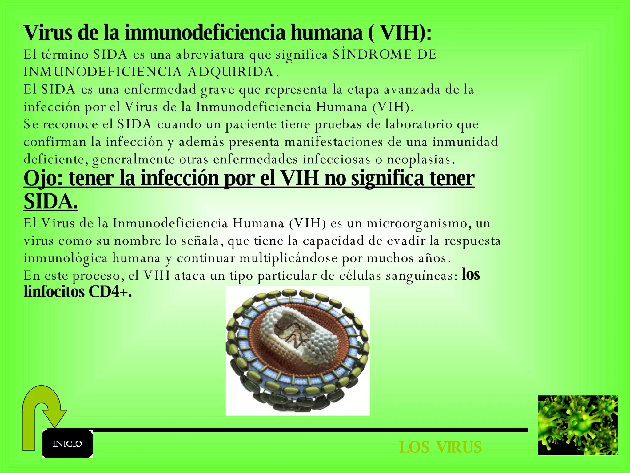 LOS VIRUS Virus de la inmunodeficiencia humana ( VIH): El término SIDA es una abreviatura que significa SÍNDROME DE INMUNODEFICIENCIA ADQUIRIDA.  El SIDA es una enfermedad grave que representa la etapa avanzada de la infección por el Virus de la Inmunodeficiencia Humana (VIH).  Se reconoce el SIDA cuando un paciente tiene pruebas de laboratorio que confirman la infección y además presenta manifestaciones de una inmunidad deficiente, generalmente otras enfermedades infecciosas o neoplasias.  Ojo: tener la infección por el VIH no significa tener SIDA. El Virus de la Inmunodeficiencia Humana (VIH) es un microorganismo, un virus como su nombre lo señala, que tiene la capacidad de evadir la respuesta inmunológica humana y continuar multiplicándose por muchos años. En este proceso, el VIH ataca un tipo particular de células sanguíneas:  los linfocitos   CD4+. 