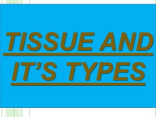 TISSUE AND
IT’S TYPES
 