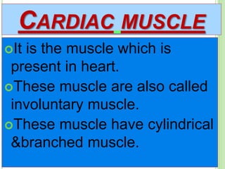 CARDIAC MUSCLE
It is the muscle which is
present in heart.
These muscle are also called
involuntary muscle.
These muscle have cylindrical
&branched muscle.
 