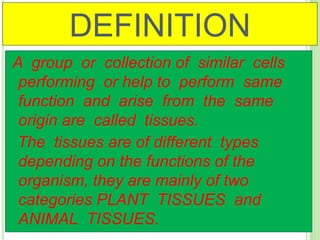 DEFINITION
A group or collection of similar cells
performing or help to perform same
function and arise from the same
origin are called tissues.
The tissues are of different types
depending on the functions of the
organism, they are mainly of two
categories PLANT TISSUES and
ANIMAL TISSUES.
 