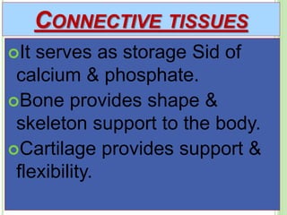 CONNECTIVE TISSUES
It serves as storage Sid of
calcium & phosphate.
Bone provides shape &
skeleton support to the body.
Cartilage provides support &
flexibility.
 