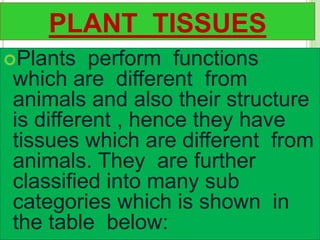 PLANT TISSUES
Plants perform functions
which are different from
animals and also their structure
is different , hence they have
tissues which are different from
animals. They are further
classified into many sub
categories which is shown in
the table below:
 