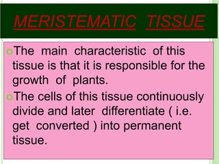 MERISTEMATIC TISSUE
The main characteristic of this
tissue is that it is responsible for the
growth of plants.
The cells of this tissue continuously
divide and later differentiate ( i.e.
get converted ) into permanent
tissue.
 