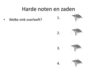 Harde noten en zaden
                            1.
•   Welke vink overleeft?


                            2.



                            3.



                            4.
 