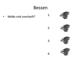 Bessen
                                1.
•   Welke vink overleeft?


                                2.



                                3.



                                4.
 