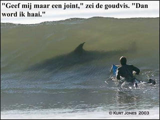 "Geef mij maar een joint," zei de goudvis. "Dan word ik haai."  