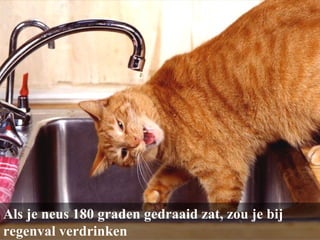 Als je neus 180 graden gedraaid zat, zou je bij regenval verdrinken 