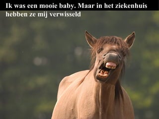 Ik was een mooie baby. Maar in het ziekenhuis hebben ze mij verwisseld 