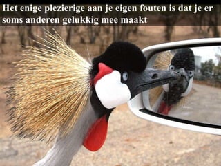 Het enige plezierige aan je eigen fouten is dat je er soms anderen gelukkig mee maakt 