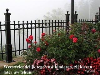 Wees vriendelijk tegen uw kinderen, zij kiezen later uw tehuis 