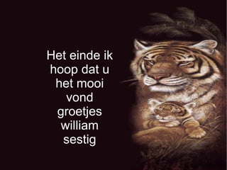 Het einde ik
hoop dat u
het mooi
vond
groetjes
william
sestig
 