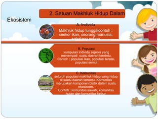 Contoh Individu Komponen Ekosistem Peran dan Interaksinya | PPTX