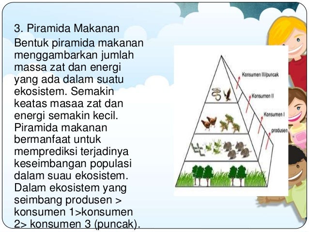 Komponen Ekosistem Peran Dan Interaksinya