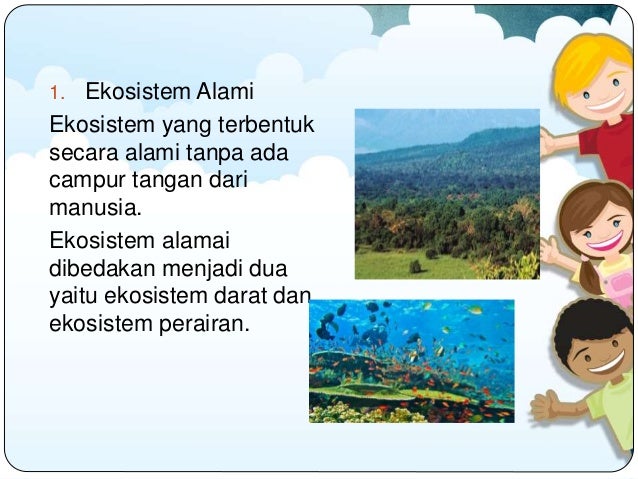Komponen Ekosistem Peran dan Interaksinya