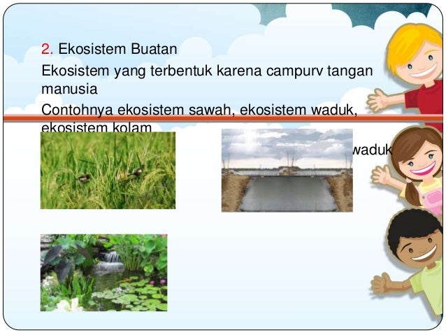 Komponen Ekosistem Peran Dan Interaksinya