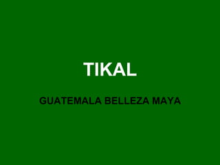 TIKAL GUATEMALA BELLEZA MAYA 