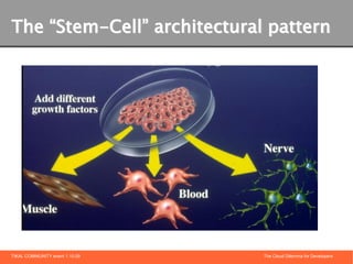 The “Stem-Cell” architectural pattern




TIKAL COMMUNITY event 1.10.09   The Cloud Dilemma for Developers
 