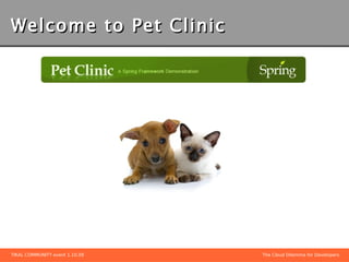 Hibernate, JPA or JDBC backend
