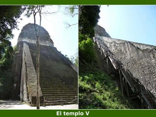 El templo V 