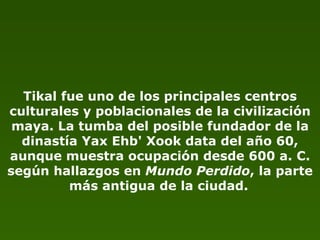 Tikal fue uno de los principales centros culturales y poblacionales de la civilización maya. La tumba del posible fundador de la dinastía Yax Ehb' Xook data del año 60, aunque muestra ocupación desde 600 a. C. según hallazgos en  Mundo Perdido , la parte más antigua de la ciudad.   