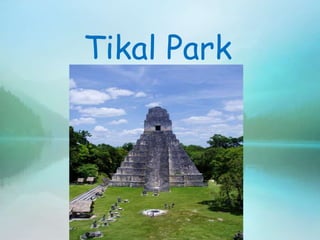 Tikal Park
 