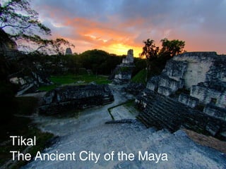 Tikal The Ancient City of the Maya 