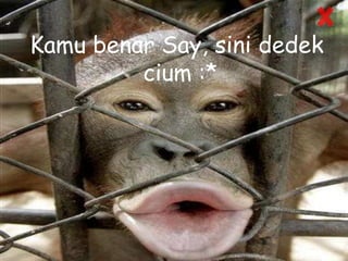 Kamu benar Say, sini dedek
cium :*
 