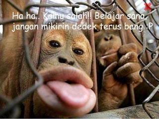 Ha ha.. Kamu salah!! Belajar sana,
jangan mikirin dedek terus bang :P
 