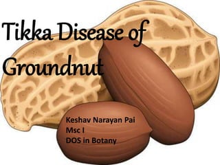 Tikka Disease of
Groundnut
Keshav Narayan Pai
Msc I
DOS in Botany
 