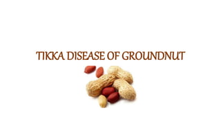 TIKKA DISEASE OF GROUNDNUT
 