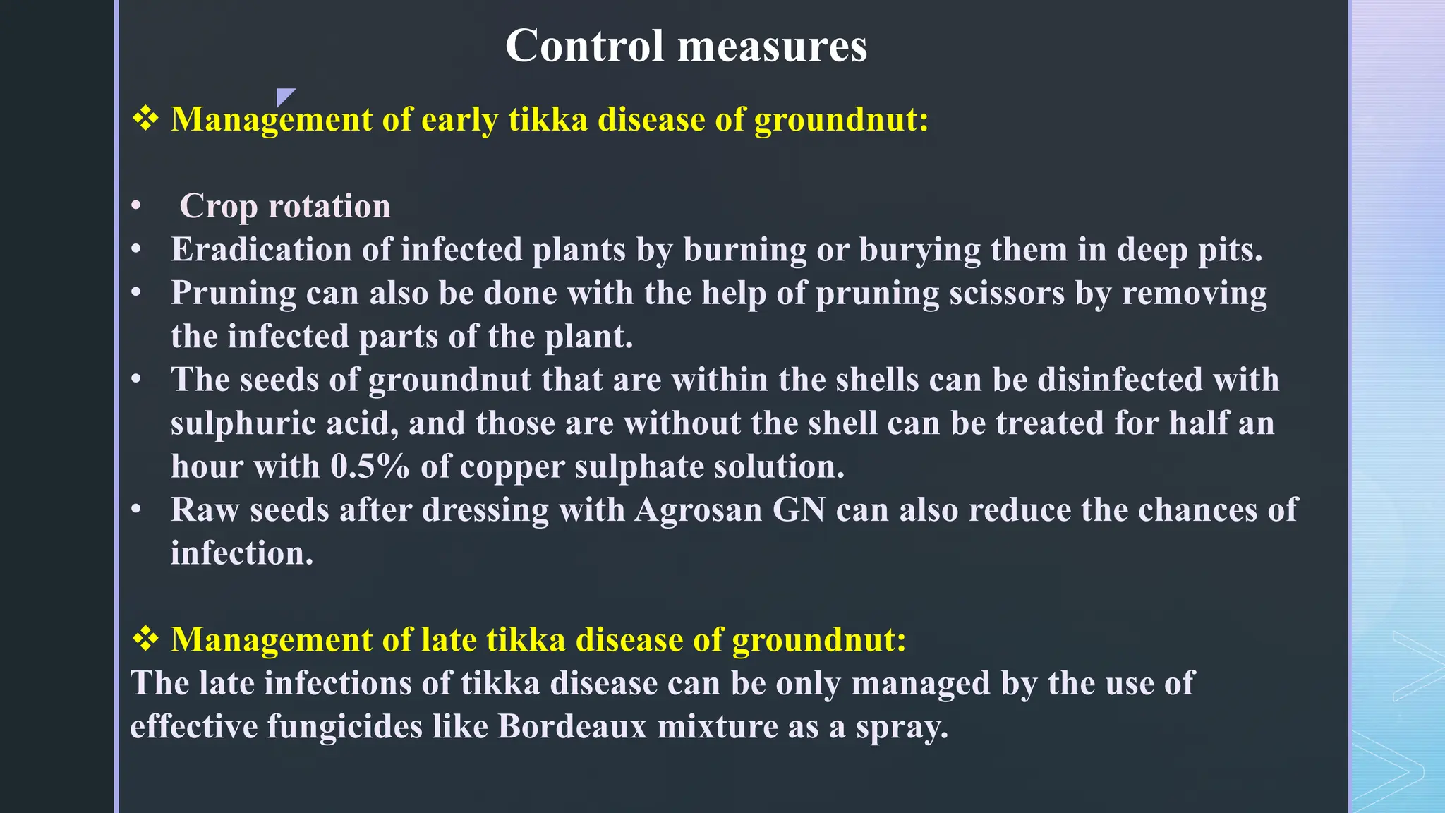 Stained Groundnut I.pdf TIKKA DISEASE OF GROUNDNUT.pdf