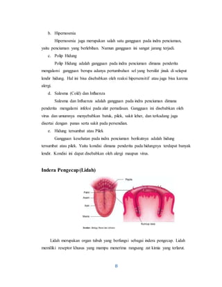 8
b. Hipernosmia
Hipernosmia juga merupakan salah satu gangguan pada indra penciuman,
yaitu penciuman yang berlebihan. Namun gangguan ini sangat jarang terjadi.
c. Polip Hidung
Polip Hidung adalah gangguan pada indra penciuman dimana penderita
mengalami gangguan berupa adanya pertumbuhan sel yang bersifat jinak di selaput
lendir hidung. Hal ini bisa disebabkan oleh reaksi hipersensitif atau juga bisa karena
alergi.
d. Salesma (Cold) dan Influenza
Salesma dan Influenza adalah gangguan pada indra penciuman dimana
penderita mengalami infeksi pada alat pernafasan. Gangguan ini disebabkan oleh
virus dan umumnya menyebabkan batuk, pilek, sakit leher, dan terkadang juga
disertai dengan panas serta sakit pada persendian.
e. Hidung tersumbat atau Pilek
Gangguan kesehatan pada indra penciuman berikutnya adalah hidung
tersumbat atau pilek. Yaitu kondisi dimana penderita pada hidungnya terdapat banyak
lendir. Kondisi ini dapat disebabkan oleh alergi maupun virus.
Indera Pengecap(Lidah)
Lidah merupakan organ tubuh yang berfungsi sebagai indera pengecap. Lidah
memiliki reseptor khusus yang mampu menerima rangsang zat kimia yang terlarut.
 