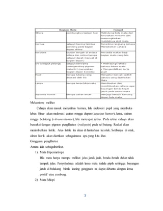 3
Mekanisme melihat
Cahaya akan masuk menembus kornea, lalu melewati pupil yang membuka
lebar. Sinar akan melewati cairan rongga depan (aqueous humor), lensa, cairan
rongga belakang (vitreous humor), lalu mencapai retina. Pada retina cahaya akan
bereaksi dengan pigmen penglihatan (rodopsin) pada sel batang. Reaksi akan
menimbulkan listrik. Arus listrik itu akan di hantarkan ke otak. Setibanya di otak,
aliran listrik akan diartikan sebagaimana apa yang kita lihat.
Gangguan penglihatan
Antara lain sebagaiberikut.
1) Mata Hipermetropi
Bila mata hanya mampu melihat jelas jarak jauh, benda-benda dekat tidak
tampak jelas. Penyebabnya adalah lensa mata terlalu pipih sehingga bayangan
jatuh di belakang bintik kuning gangguan ini dapat dibantu dengan lensa
positif atau cembung.
2) Mata Miopi
 